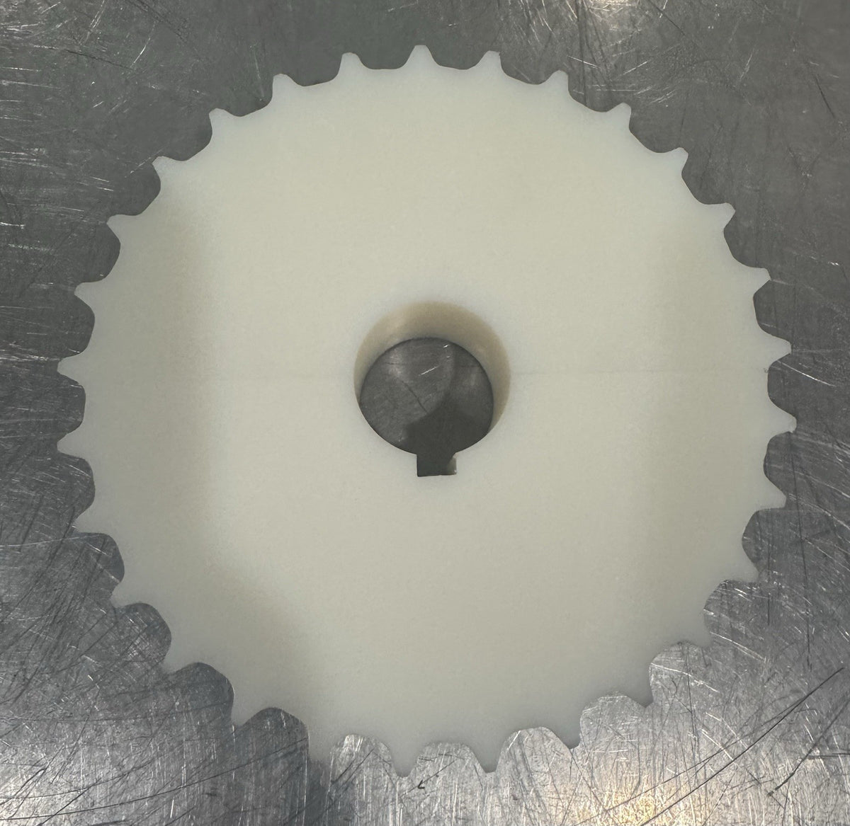 Rexnord 820-29R1.5-DMS-SS Sprocket System Plast 10878458 NEW! FREE SHIPPING!