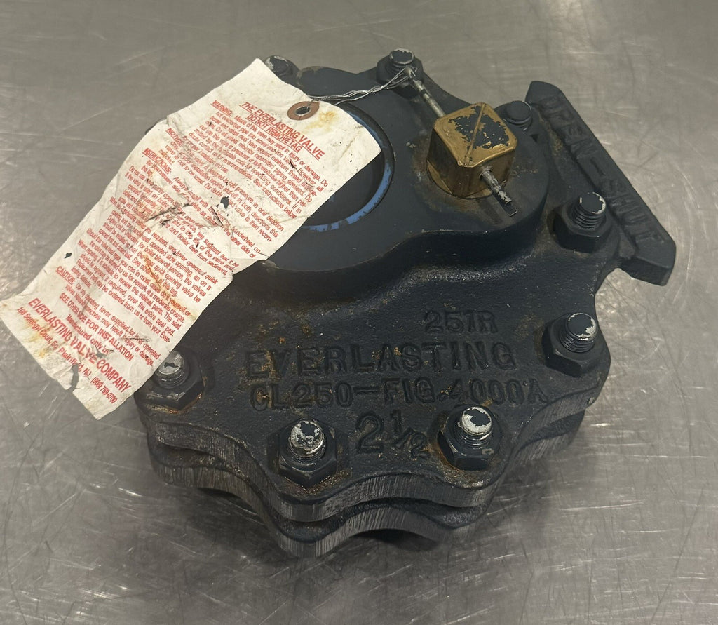 Everlasting CL250-Fig. 4000A 2.5" Blow Down Valve WP-250 NO HANDLE NEW!