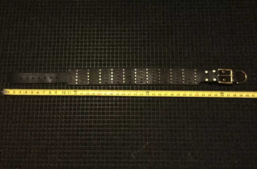 Dean And Tyler 40" Wide Heaven Black Spiked Studded Leather Dog Collar NEW