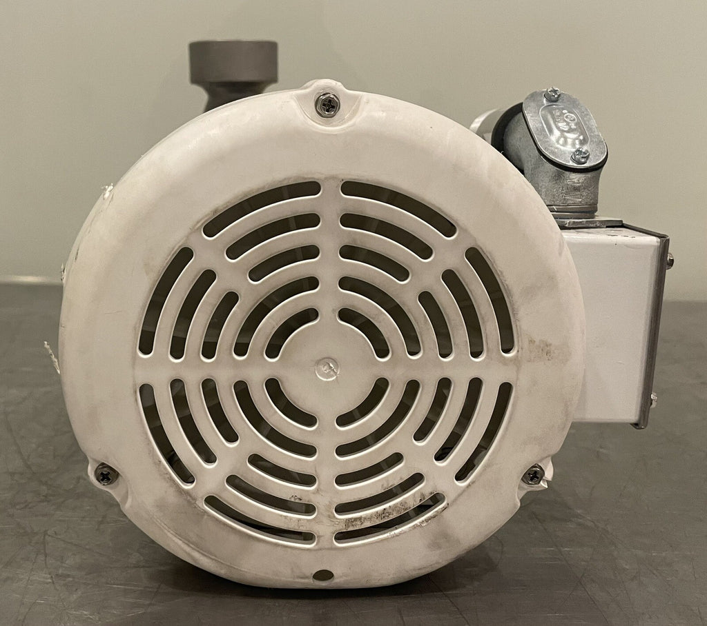 Corcoran 2000D Centrifugal Pump 316SS Stainless C6T34WK33A NEW! FREE SHIPPING!