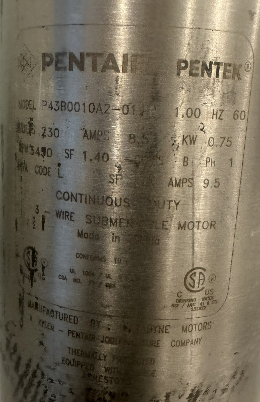 Pentair S20P4HS10231-02 Submersible Pump 20 GPM 3 Wire NEW! FREE SHIPPING!
