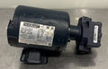 Haight 102511.00 Pump & Motor For Pitco Fryer M4S17DH18C NEW! FREE SHIPPING!