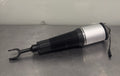 151419-00171 Air Strut Shock Assembly NEW! FREE SHIPPING!