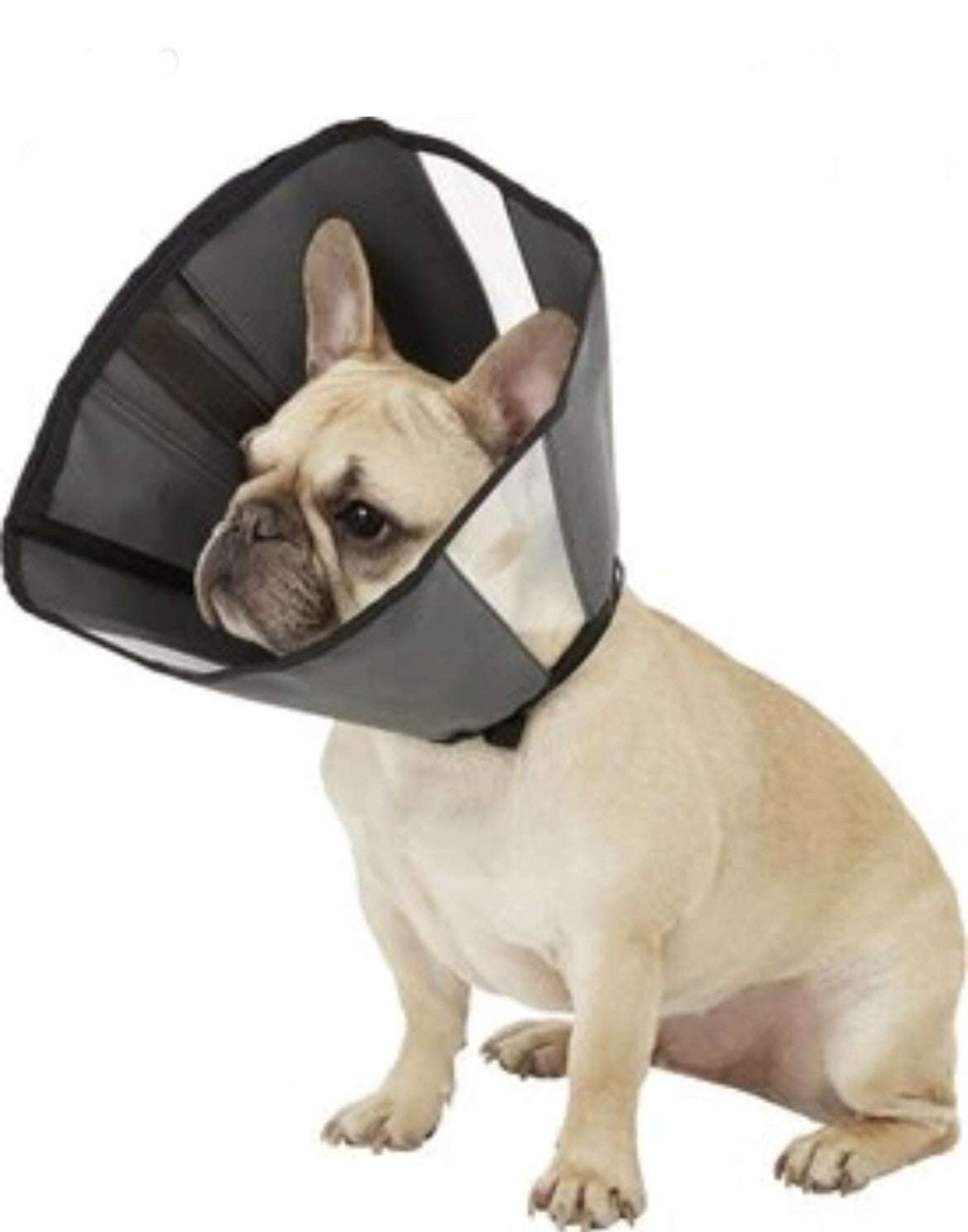 ZenPet Zencone Small Soft Recovery Collar 8-12” S Gray NEW! FREE SHIPPING!