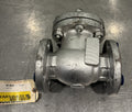 FNW 571 2” Flanged Swing Check Valve NEW! FREE SHIPPING!