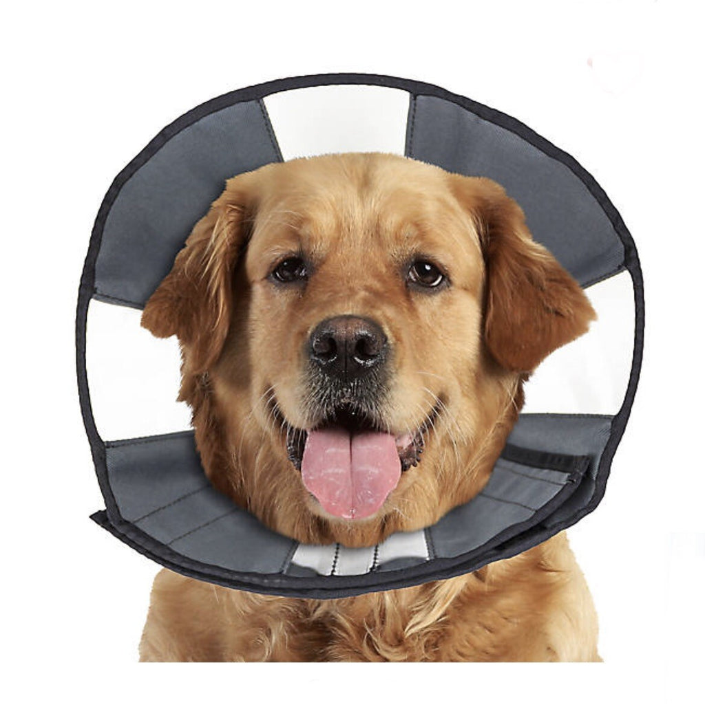 ZenPet Zencone Medium Soft Recovery Collar 12-15” M NEW! FREE SHIPPING!