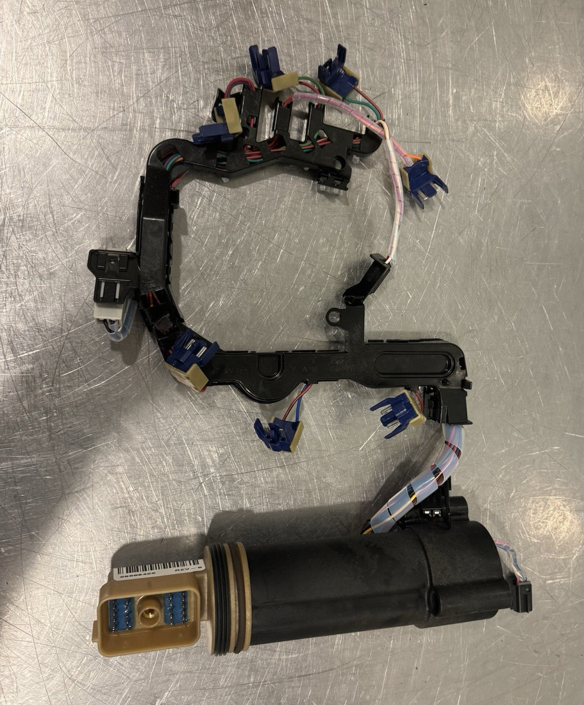29558422 Allison Transmission Wire Harness NEW! FREE SHIPPING!