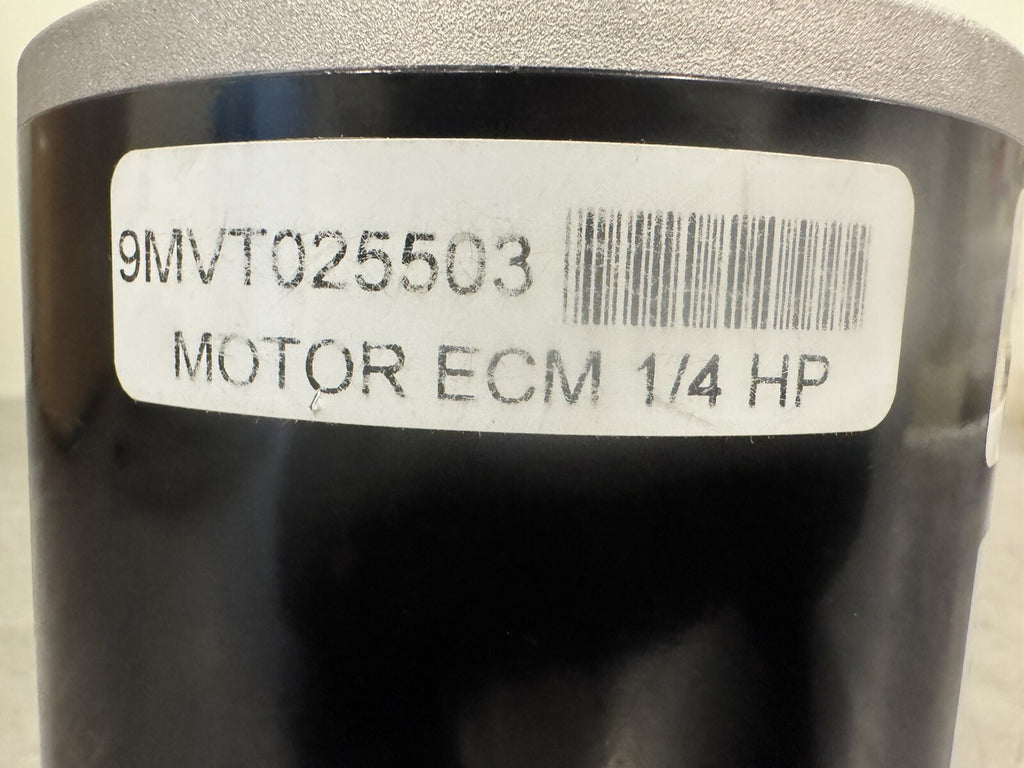 9MVT025503 First Co. Motor ECM 1/4 HP NEW IN BOX! FREE SHIPPING!