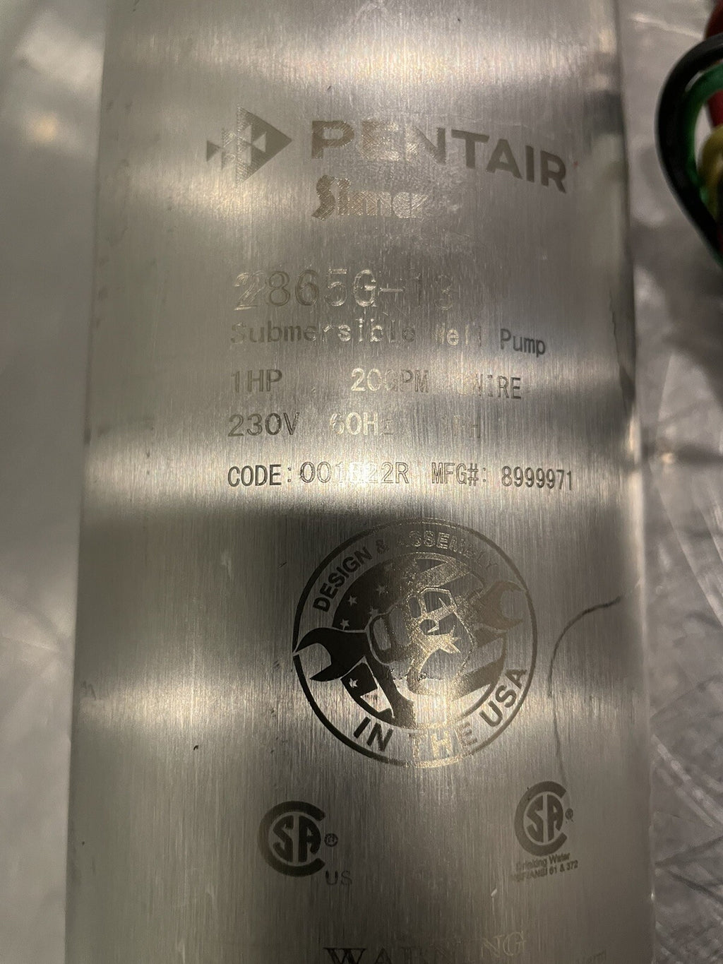 Pentair 2865G-13 Well Pump 1HP 20GPM 3 Wire 230V NEW! FREE SHIPPING!